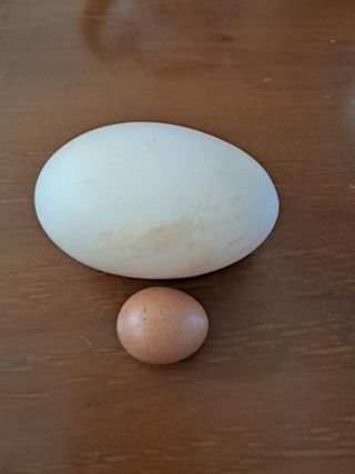 장민경님의 자유주제 · 자유게시판 작성글 사진