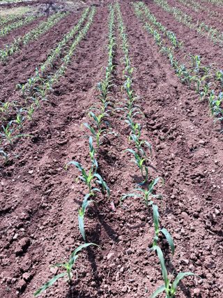 장민경님의 자유주제 · 자유게시판 작성글 사진