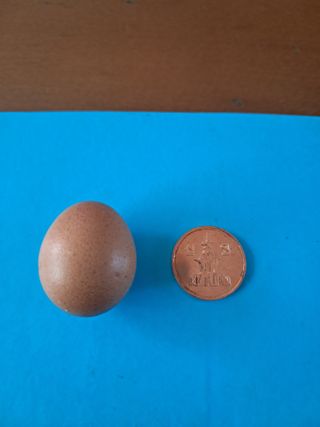 장민경님의 자유주제 · 자유게시판 작성글 사진