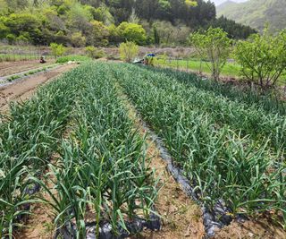 김강석님의 자유주제 · 자유게시판 작성글 사진