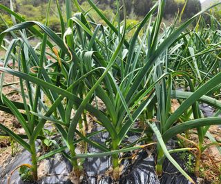 김강석님의 자유주제 · 자유게시판 작성글 사진