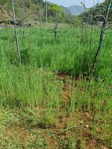 팜모닝 자유주제·자유게시판 게시글 이미지