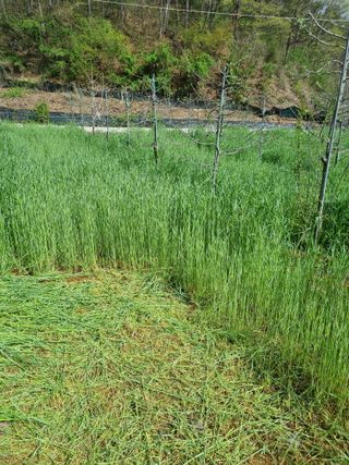 풍요님의 자유주제 · 자유게시판 작성글 사진