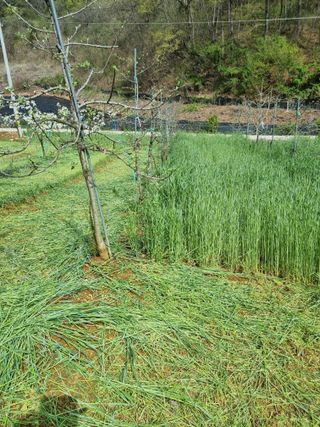 풍요님의 자유주제 · 자유게시판 작성글 사진