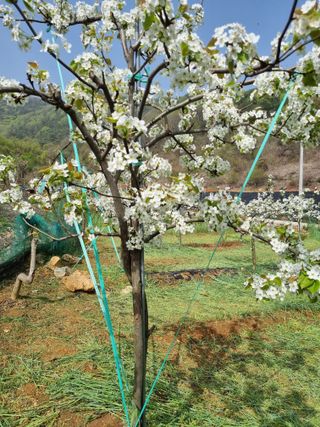 풍요님의 자유주제 · 자유게시판 작성글 사진