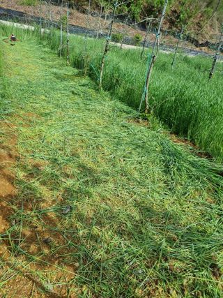 풍요님의 자유주제 · 자유게시판 작성글 사진