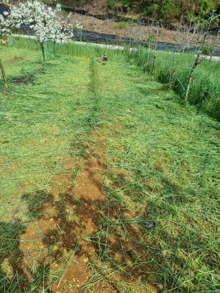 풍요님의 자유주제 · 자유게시판 작성글 사진