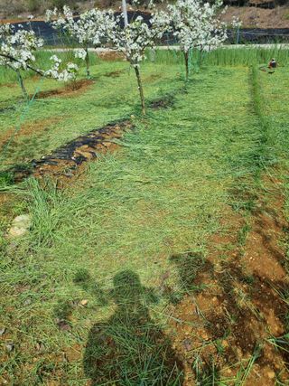 풍요님의 자유주제 · 자유게시판 작성글 사진