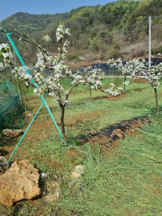 풍요님의 자유주제 · 자유게시판 작성글 사진