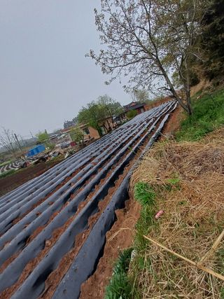 홍순오님의 최근에 산 것 자랑하기 · 참여글 작성글 사진