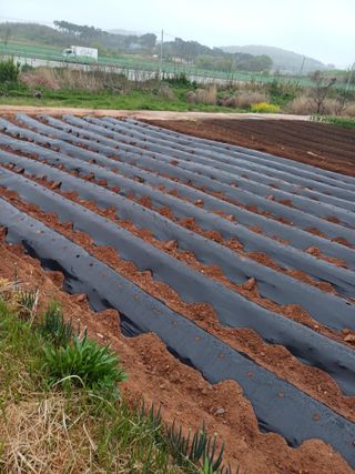 홍순오님의 최근에 산 것 자랑하기 · 참여글 작성글 사진