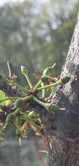 팜모닝 자유주제·자유게시판 게시글 이미지