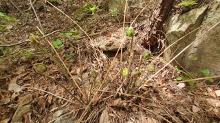 박철규 님의 자유주제 · 자유게시판 작성글 사진