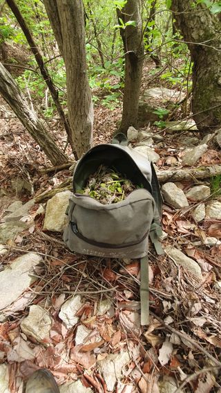 박철규 님의 자유주제 · 자유게시판 작성글 사진