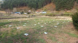 권순일님의 자유주제 · 자유게시판 작성글 사진