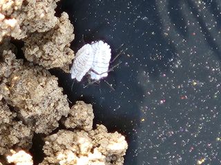 이동호님의 자유주제 · 자유게시판 작성글 사진