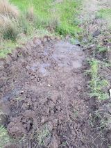 팜모닝 기타작물·영농일지 게시글 이미지