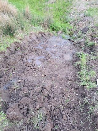 윤석돈님의 기타작물 · 영농일지 작성글 사진