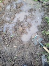 팜모닝 기타작물·영농일지 게시글 이미지