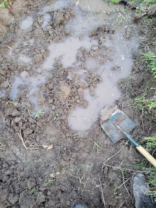 윤석돈님의 기타작물 · 영농일지 작성글 사진