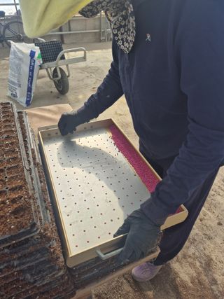 송광만님의 참깨 · 자유게시판 작성글 사진