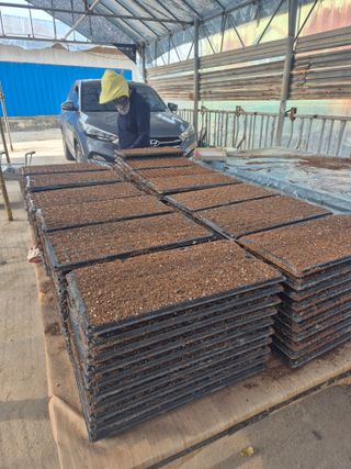 송광만님의 참깨 · 자유게시판 작성글 사진