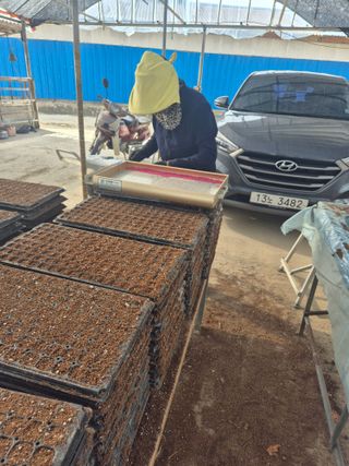 송광만님의 참깨 · 자유게시판 작성글 사진