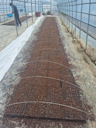 송광만님의 참깨 · 자유게시판 작성글 사진