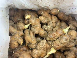 도곡님의 자유주제 · 자유게시판 작성글 사진