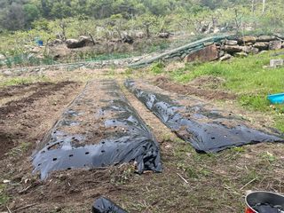 도곡님의 자유주제 · 자유게시판 작성글 사진