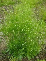 팜모닝 자유주제·사진전 게시글 이미지