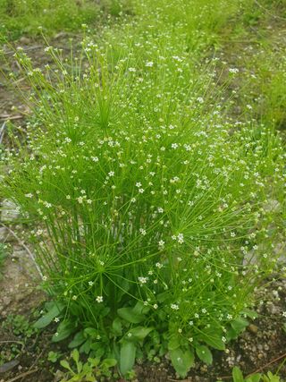 사과짱님의 자유주제 · 사진전 작성글 사진