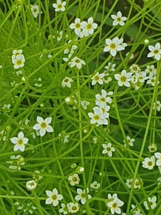 사과짱님의 자유주제 · 사진전 작성글 사진