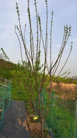 팜모닝 자유주제·자유게시판 게시글 이미지