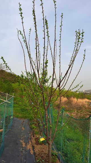 주윤발이님의 자유주제 · 자유게시판 작성글 사진