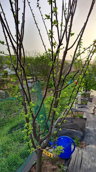 주윤발이님의 자유주제 · 자유게시판 작성글 사진