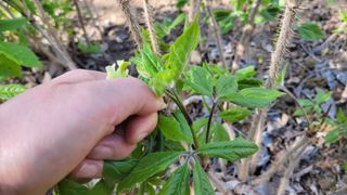 대파16548님의 자유주제 · 자유게시판 작성글 사진