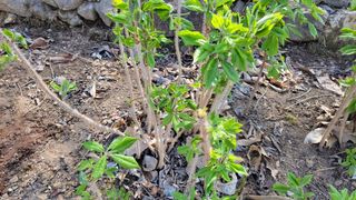 대파16548님의 자유주제 · 자유게시판 작성글 사진