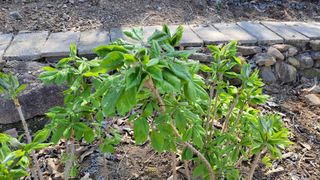 대파16548님의 자유주제 · 자유게시판 작성글 사진