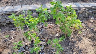 대파16548님의 자유주제 · 자유게시판 작성글 사진