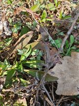 팜모닝 자유주제·자유게시판 게시글 이미지