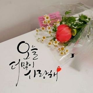 SOUL님의 자유주제 · 자유게시판 작성글 사진