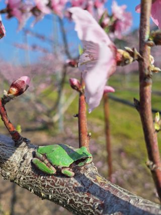 욕심내지말자님의 자유주제 · 자유게시판 작성글 사진