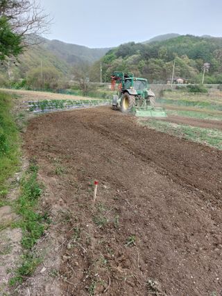 최종일님의 자유주제 · 자유게시판 작성글 사진