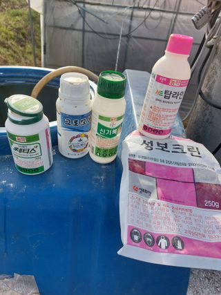 최종일님의 자유주제 · 자유게시판 작성글 사진