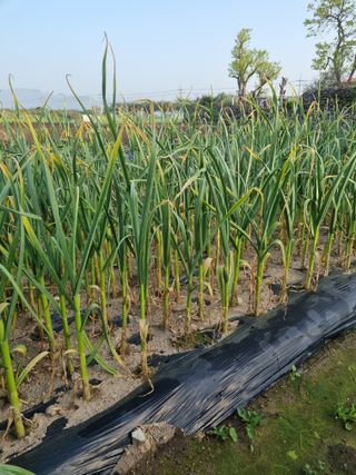 인영님의 자유주제 · 자유게시판 작성글 사진