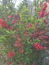 팜모닝 자유주제·사진전 게시글 이미지