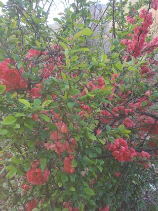 인생은나그네님의 자유주제 · 사진전 작성글 사진