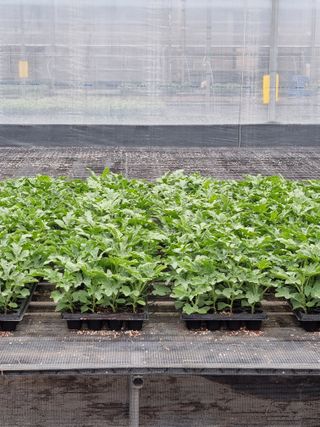 손명화님의 작성글 사진