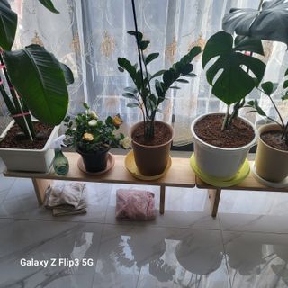 짱순이연속8월출석왕님의 최근에 산 것 자랑하기 · 참여글 작성글 사진